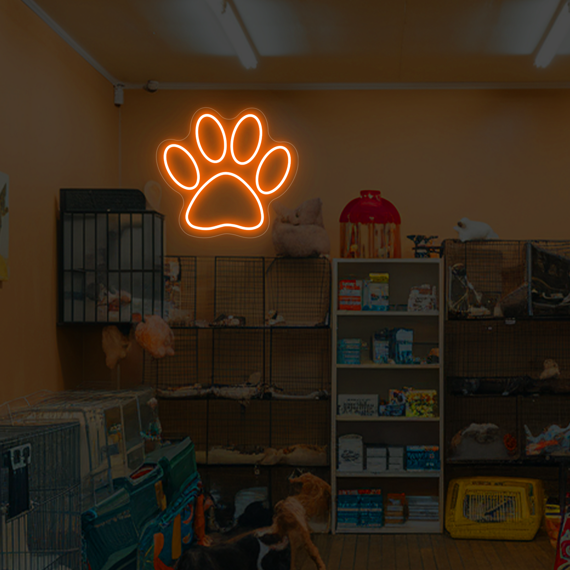 Paw-Print-Neon-Sign