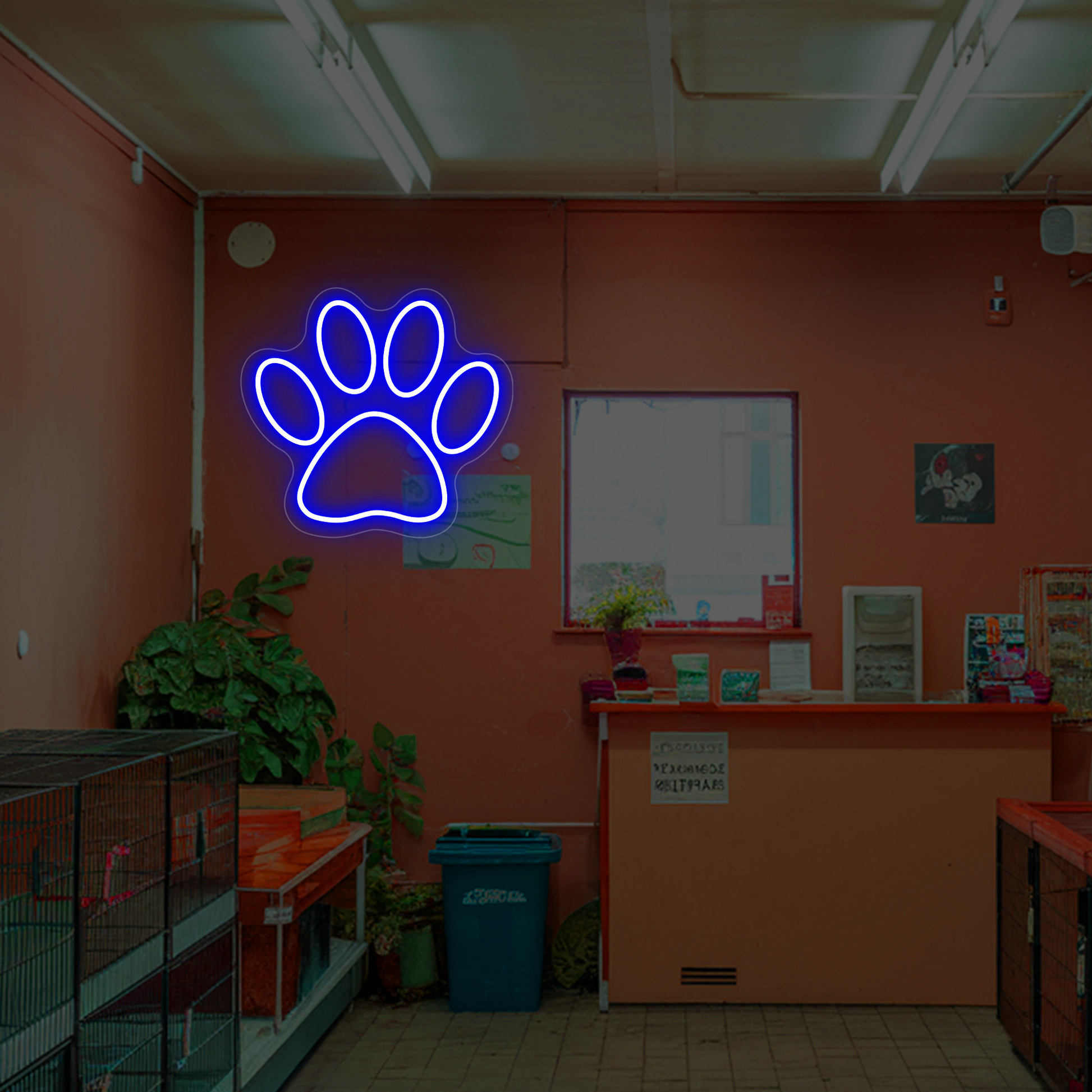 Paw-Print-Neon-Sign