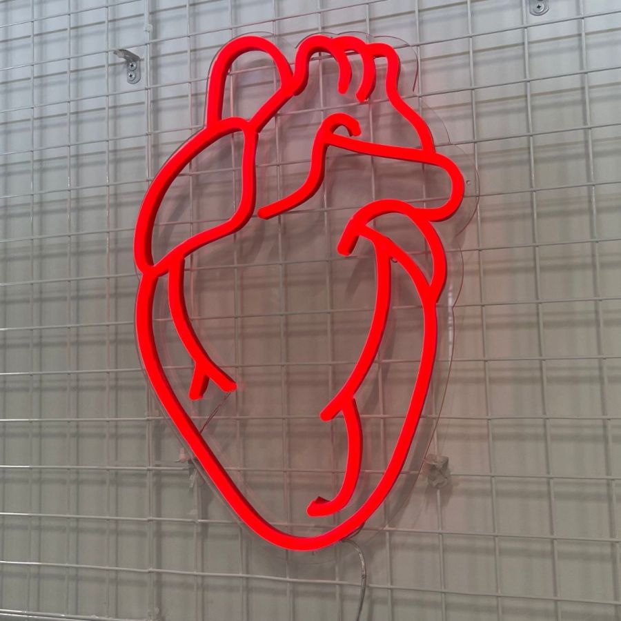 Anatomical Heart | Neon Sign